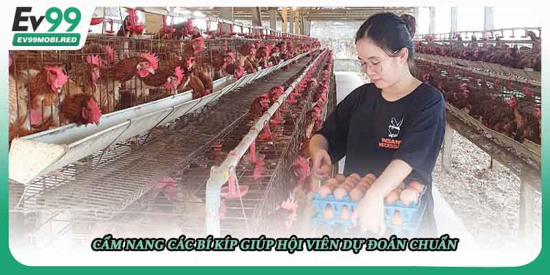 Cẩm nang các bí kíp giúp hội viên dự đoán chuẩn 