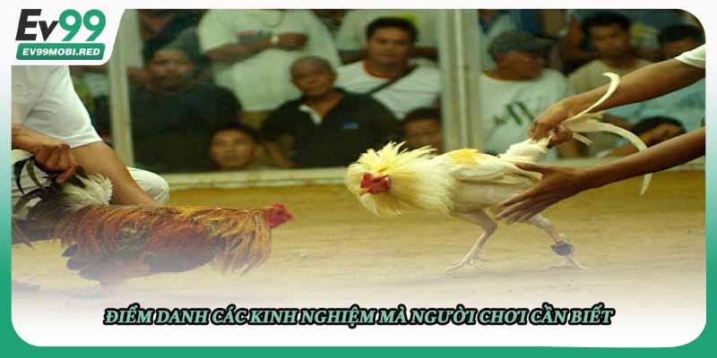 Điểm danh các kinh nghiệm mà người chơi cần biết