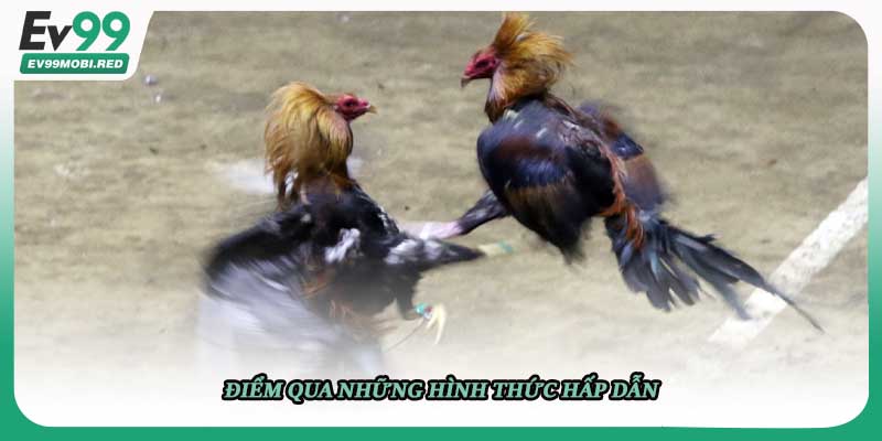 Điểm qua những hình thức hấp dẫn