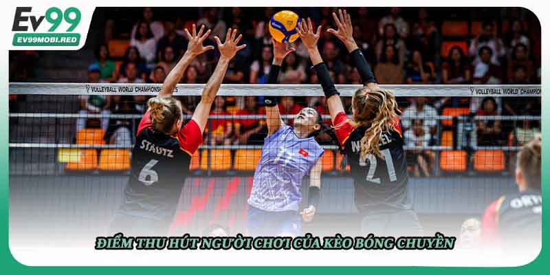 Điểm thu hút người chơi của kèo bóng chuyền