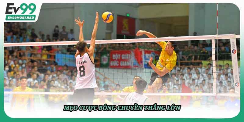 Mẹo cược bóng chuyền thắng lớn