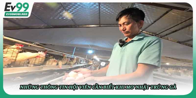Những thông tin hội viên cần biết khi mơ nhặt trứng gà 