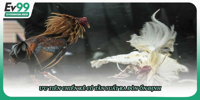 Ưu tiên chiến kê có tần suất ra đòn ổn định